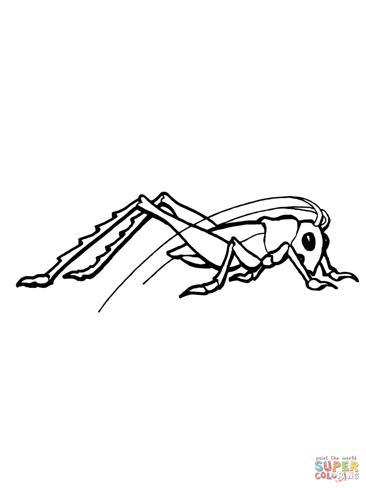 33 Grasshoppers Coloring Pages Printable 10