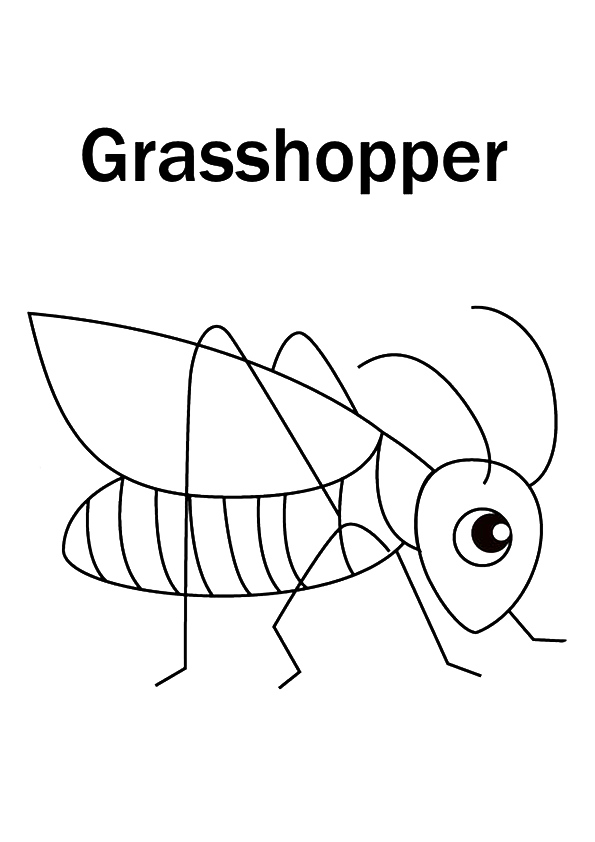 33 Grasshoppers Coloring Pages Printable 11