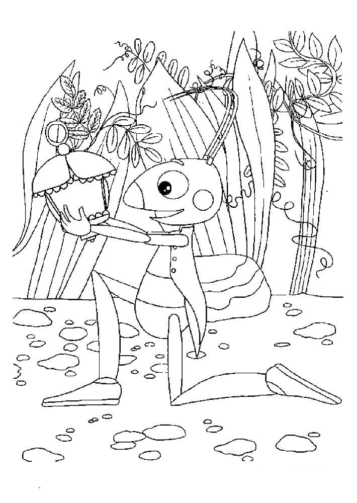 33 Grasshoppers Coloring Pages Printable 13