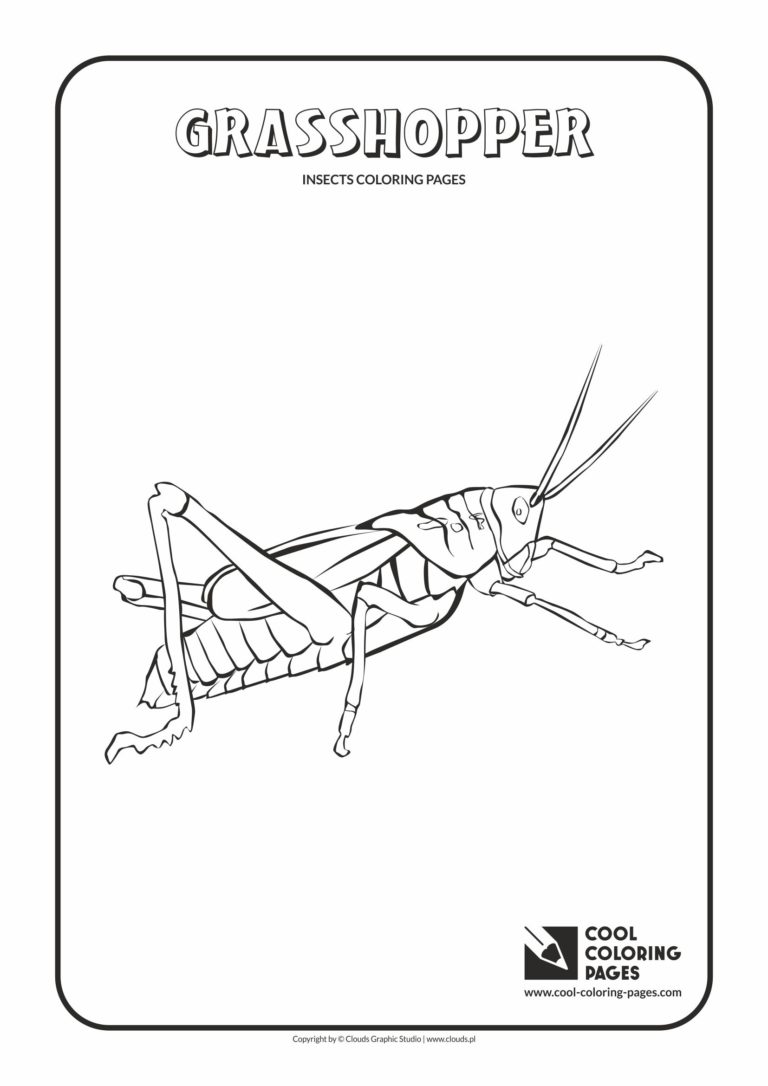 33 Grasshoppers Coloring Pages Printable 17