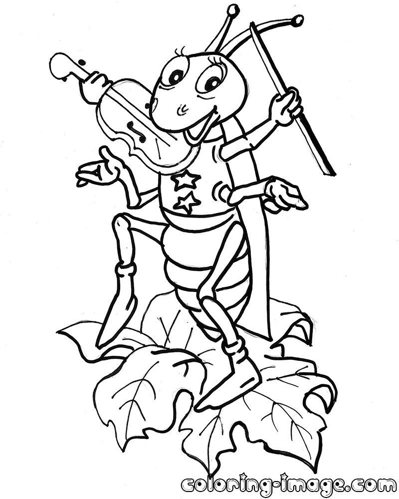 33 Grasshoppers Coloring Pages Printable 18