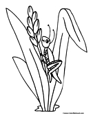 33 Grasshoppers Coloring Pages Printable 26