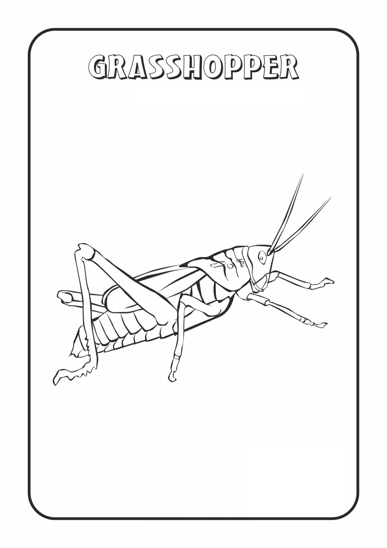 33 Grasshoppers Coloring Pages Printable 29