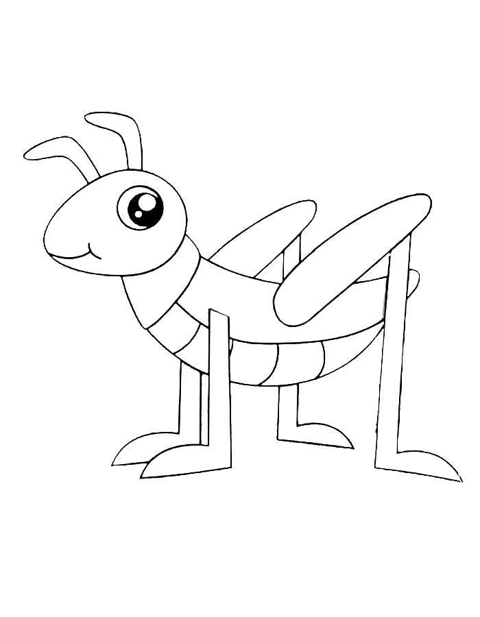 33 Grasshoppers Coloring Pages Printable 31