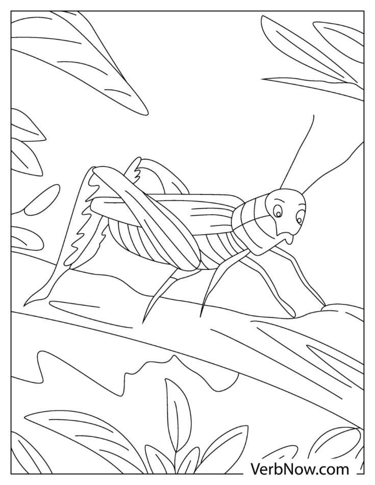 33 Grasshoppers Coloring Pages Printable 35