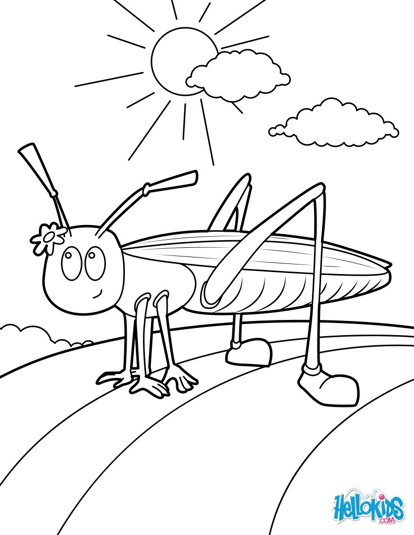 33 Grasshoppers Coloring Pages Printable 5