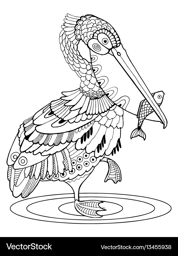 33 Pelicans Coloring Pages Printable 14