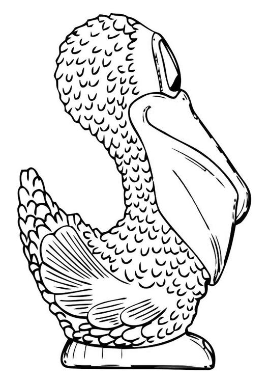 33 Pelicans Coloring Pages Printable 18