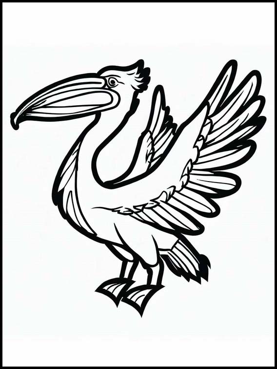 33 Pelicans Coloring Pages Printable 20