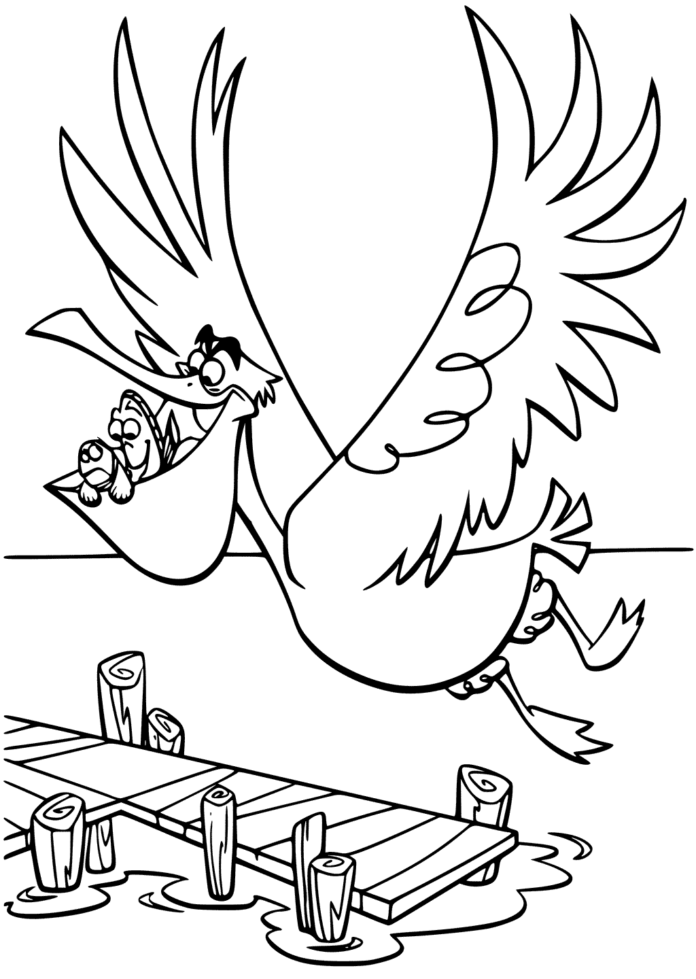 pelicans coloring pages printable jpg