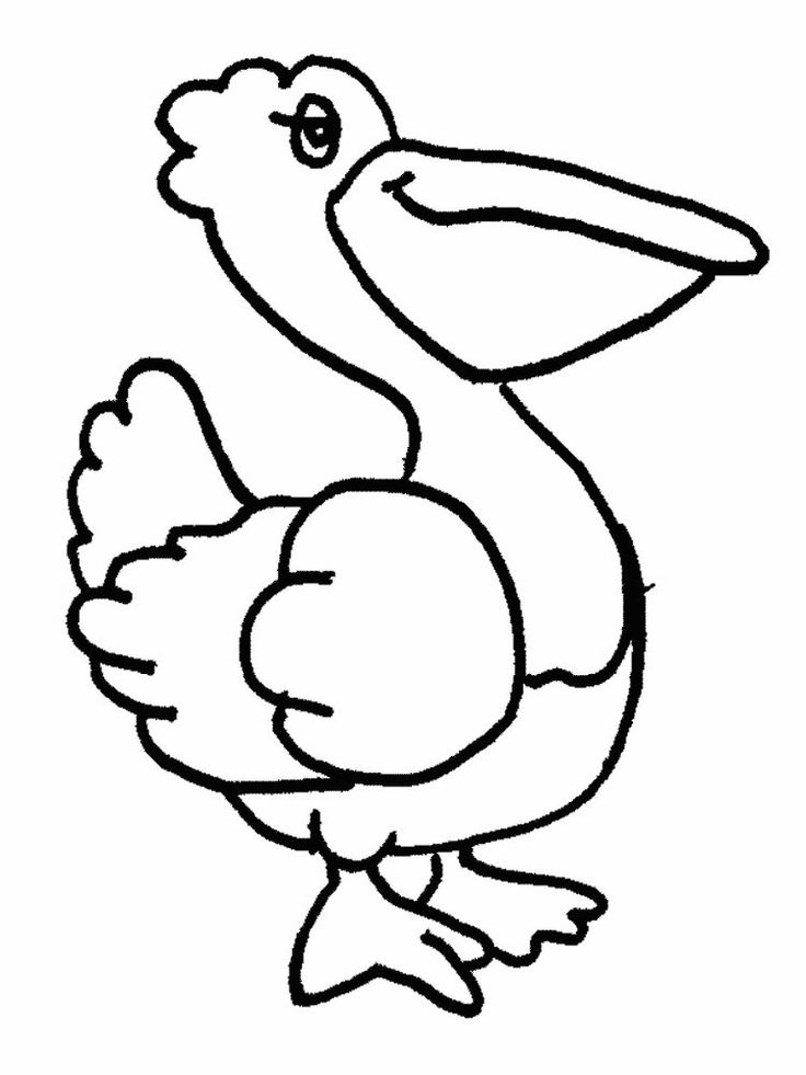 33 Pelicans Coloring Pages Printable 3