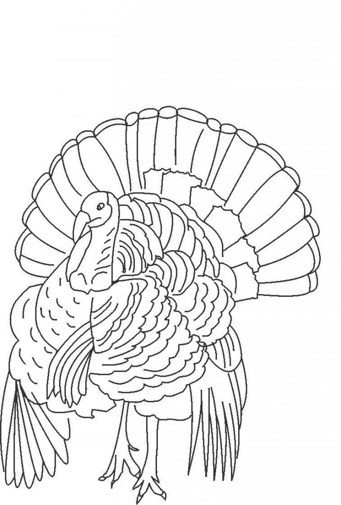 33 Turkey Templates Printable 23