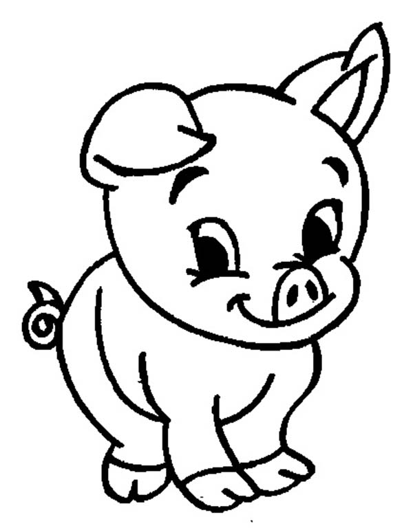 34 Adorable Pig Coloring Pages Printable 2