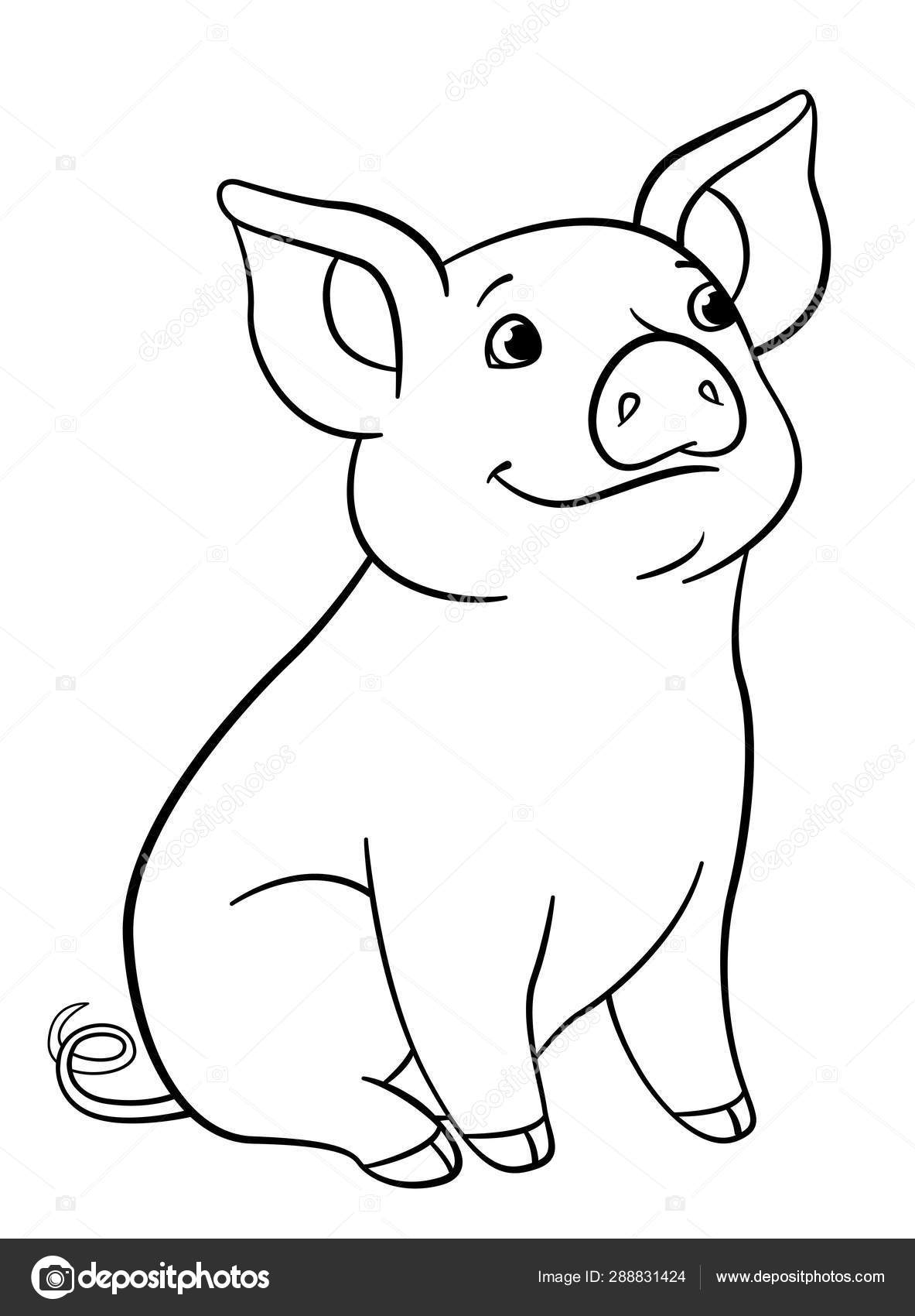 34 Adorable Pig Coloring Pages Printable 28