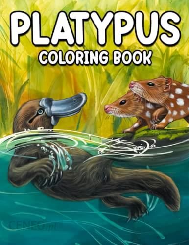 34 Unique Platypus Coloring Pages Printable 13