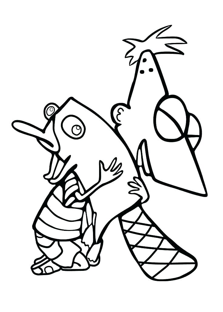 34 Unique Platypus Coloring Pages Printable 14