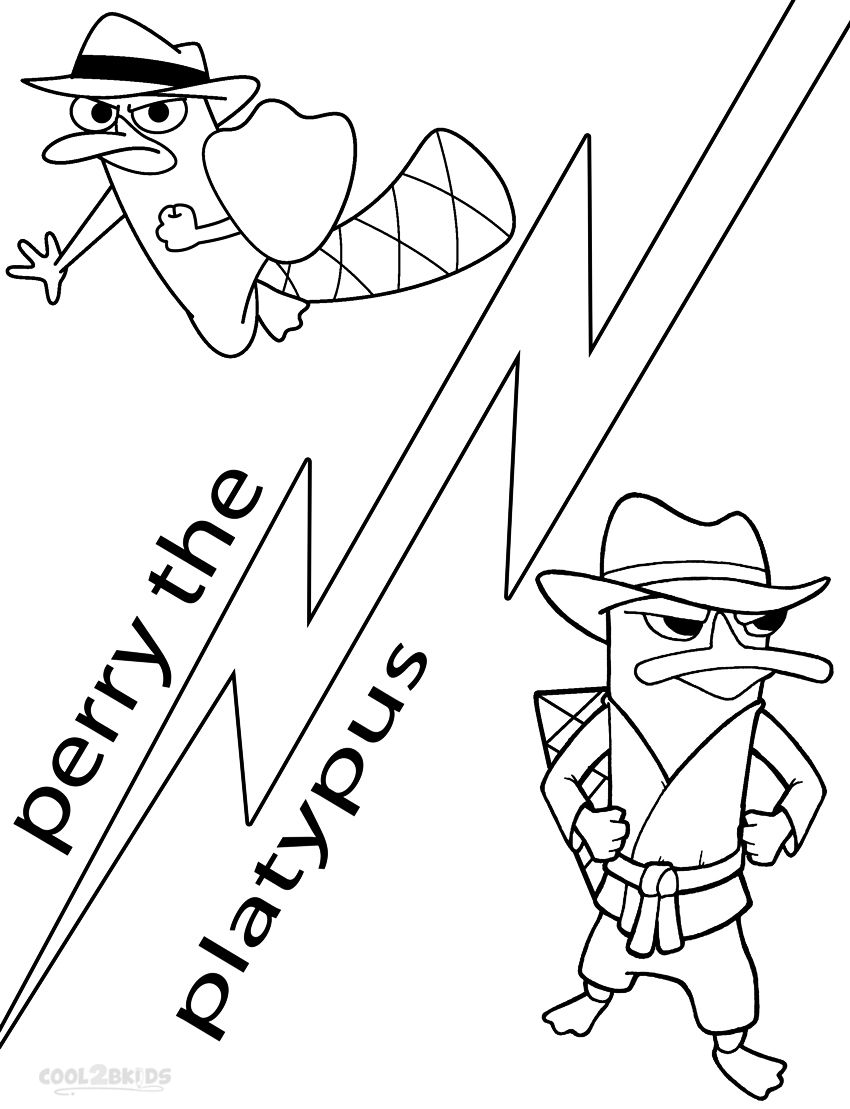 34 Unique Platypus Coloring Pages Printable 16