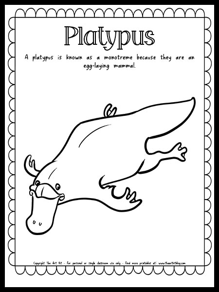 34 Unique Platypus Coloring Pages Printable 25