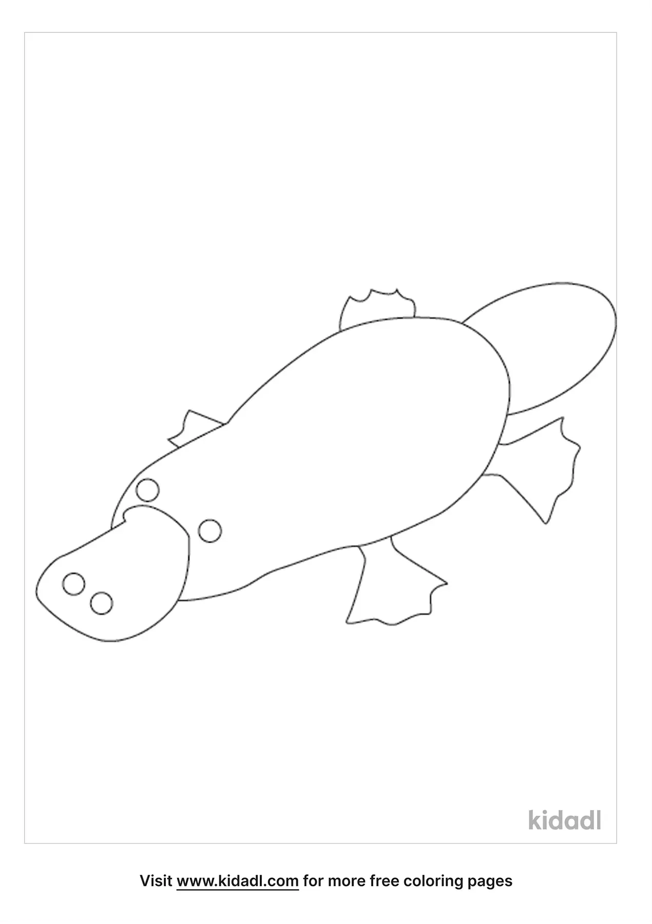 unique platypus coloring pages printable jpg