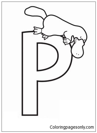 34 Unique Platypus Coloring Pages Printable 35