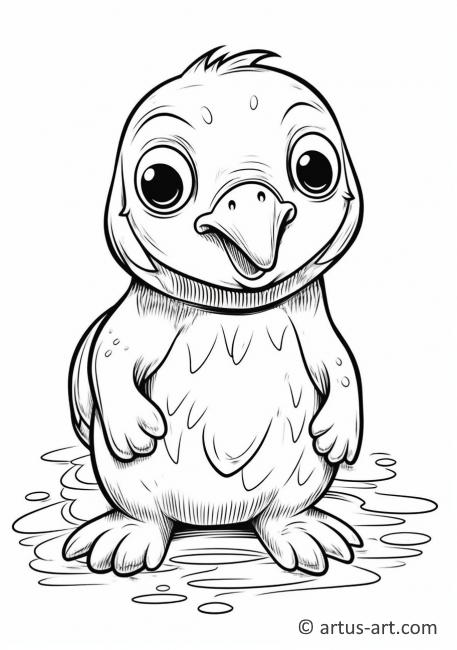 34 Unique Platypus Coloring Pages Printable 5