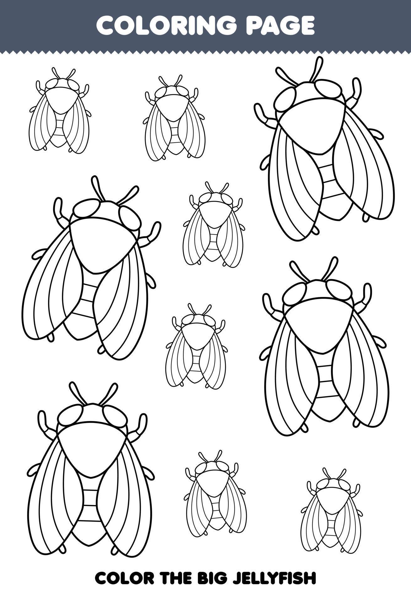 35 Intriguing Cicada Coloring Pages Printable 14