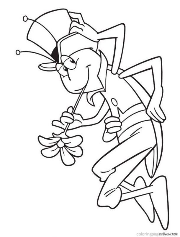 35 Intriguing Cicada Coloring Pages Printable 19