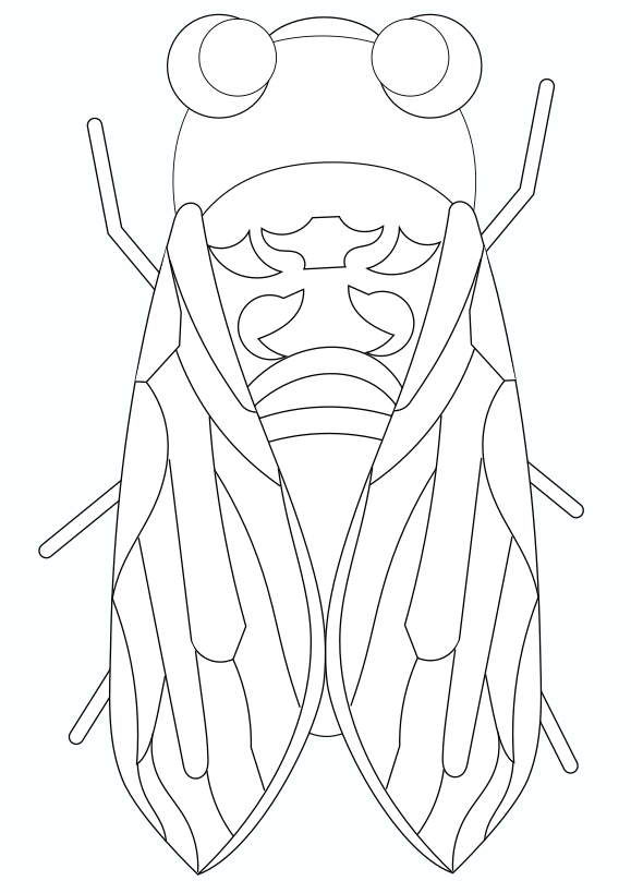 35 Intriguing Cicada Coloring Pages Printable 29