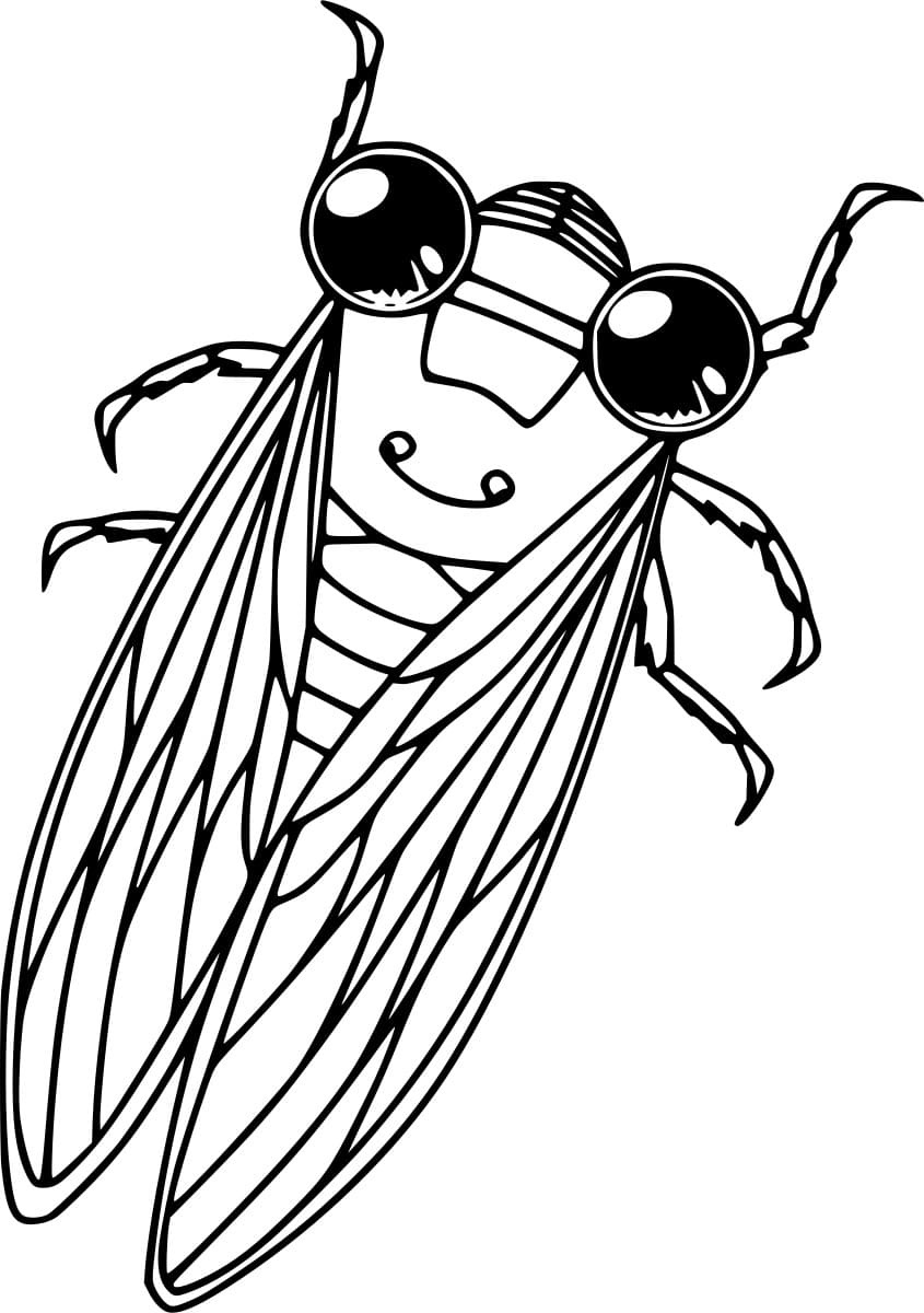 35 Intriguing Cicada Coloring Pages Printable 32