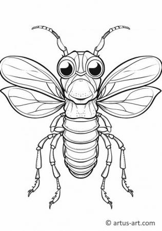 35 Intriguing Cicada Coloring Pages Printable 8