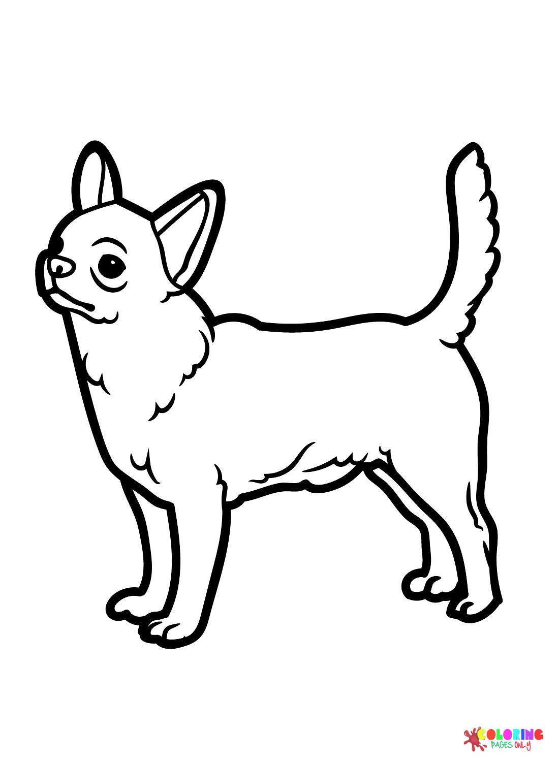 36 Adorable Chihuahua Coloring Pages Printable 10