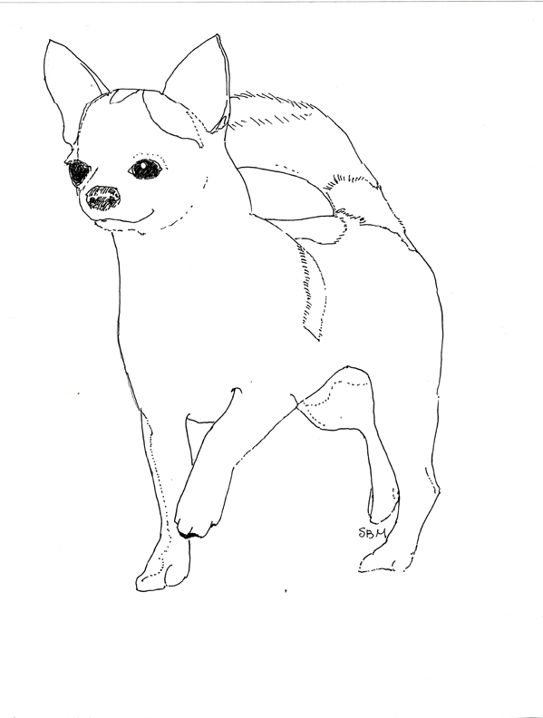 36 Adorable Chihuahua Coloring Pages Printable 16