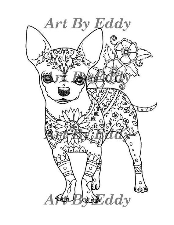 adorable chihuahua coloring pages printable jpg