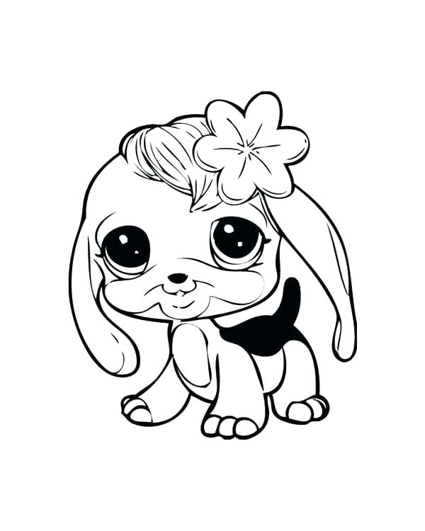 adorable chihuahua coloring pages printable jpg