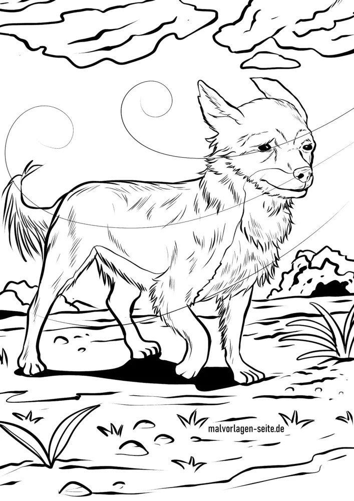 36 Adorable Chihuahua Coloring Pages Printable 23