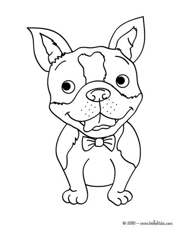 36 Adorable Chihuahua Coloring Pages Printable 25