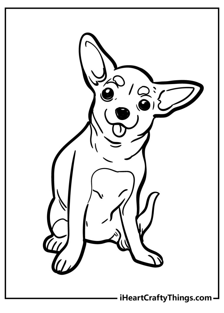 36 Adorable Chihuahua Coloring Pages Printable 26