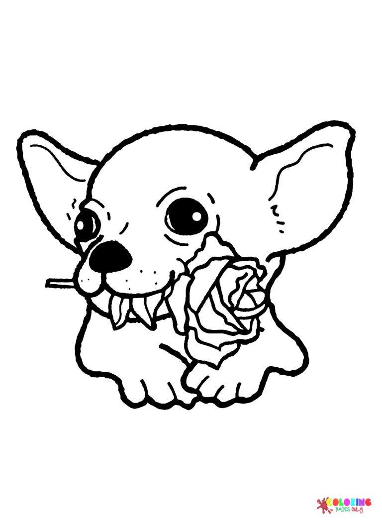 36 Adorable Chihuahua Coloring Pages Printable 29