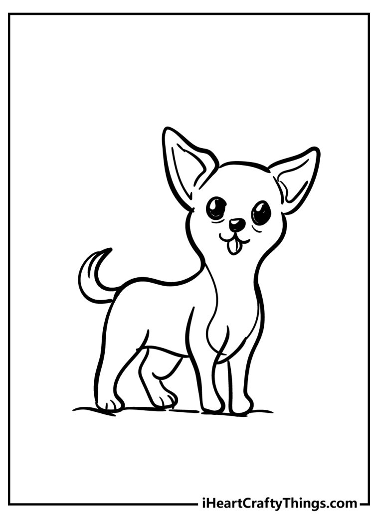 36 Adorable Chihuahua Coloring Pages Printable 4