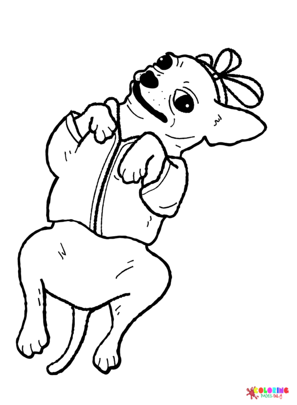 36 Adorable Chihuahua Coloring Pages Printable 5