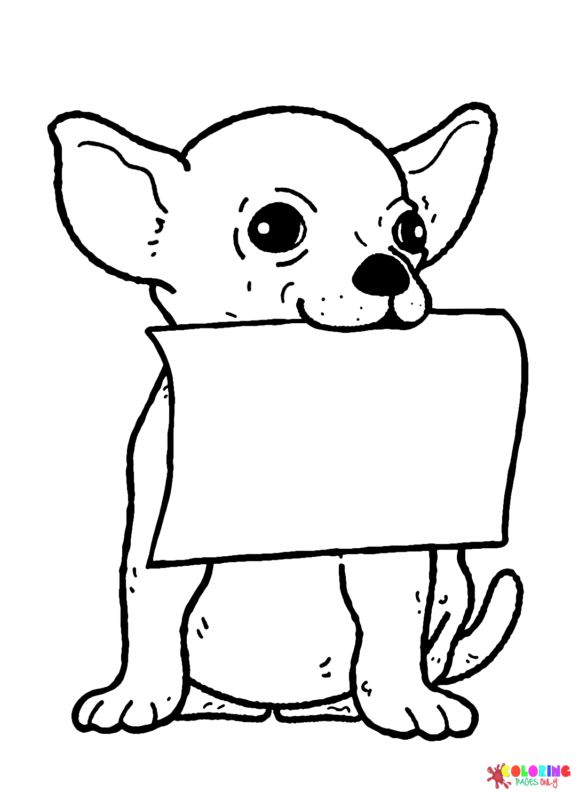 36 Adorable Chihuahua Coloring Pages Printable 7