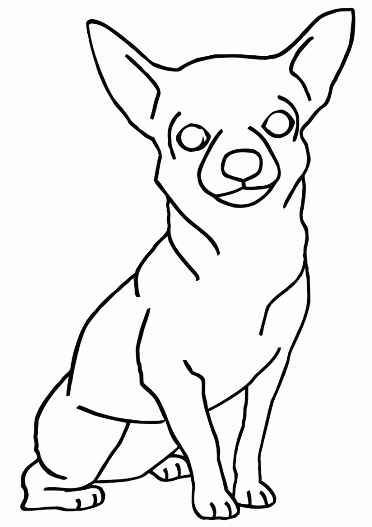 36 Adorable Chihuahua Coloring Pages Printable 8