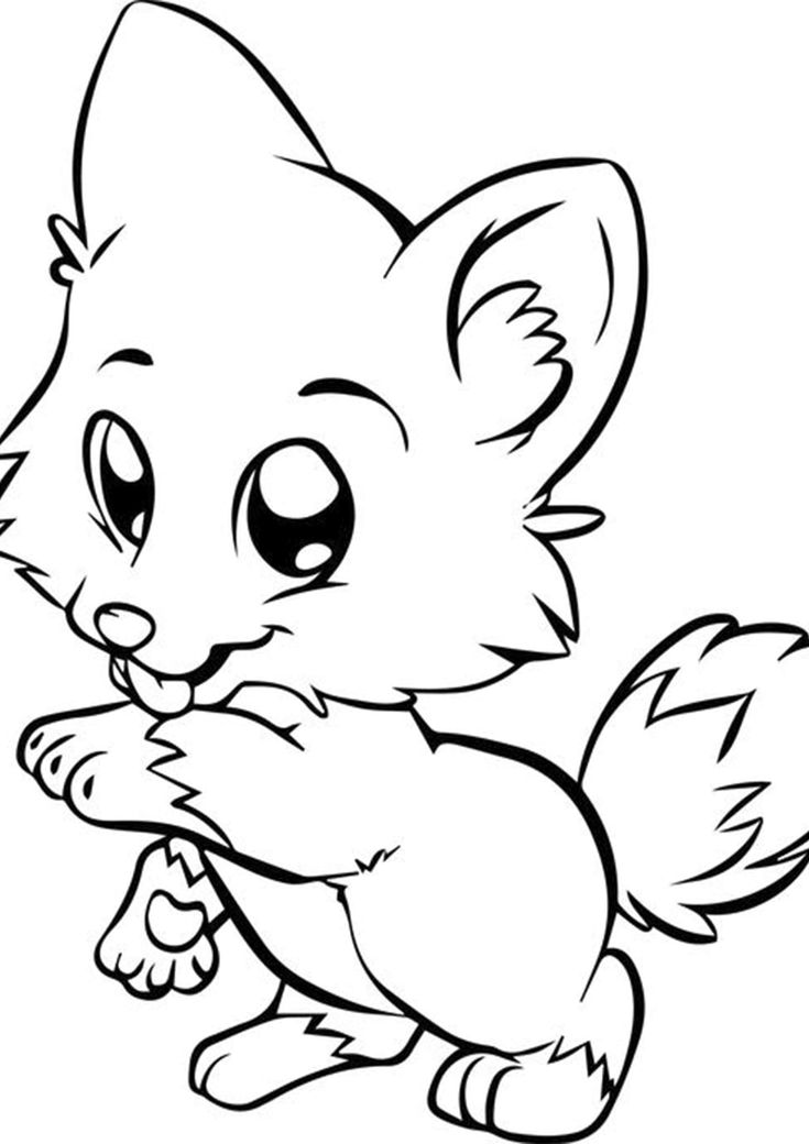 36 Cute Animal Coloring Pages Printable 12