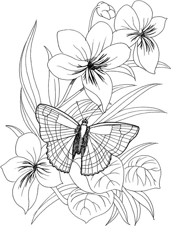 36 Plants and Flowers - Best Coloring Pages for Kids Printable 10