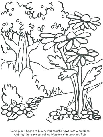 36 Plants and Flowers - Best Coloring Pages for Kids Printable 13