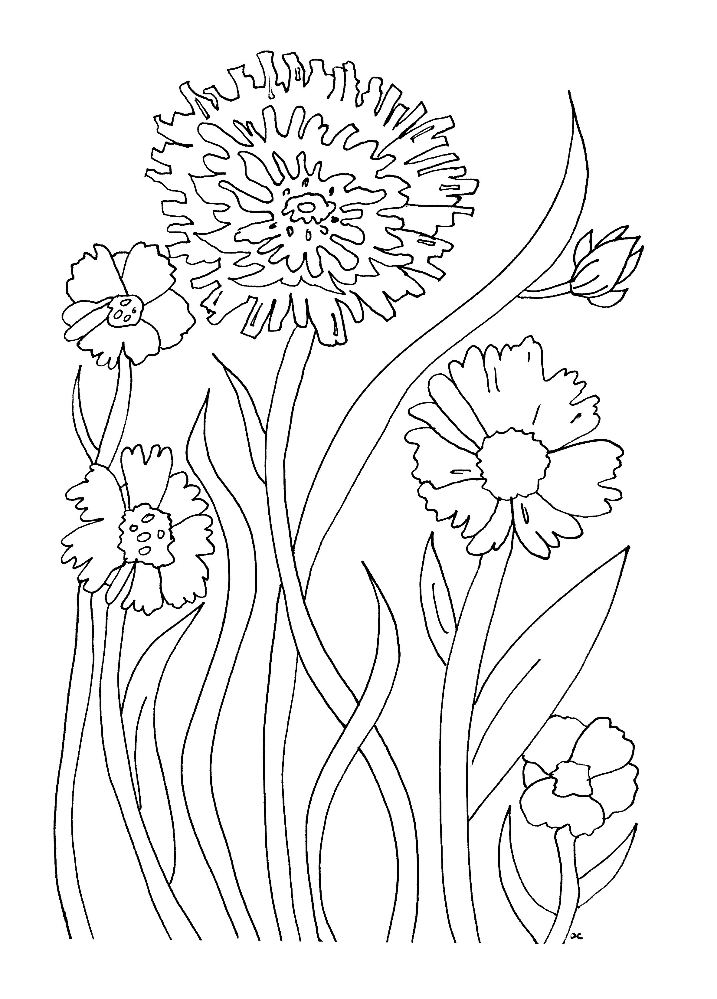 36 Plants and Flowers - Best Coloring Pages for Kids Printable 2