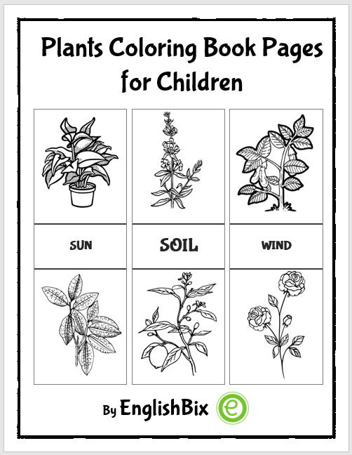 36 Plants and Flowers - Best Coloring Pages for Kids Printable 24