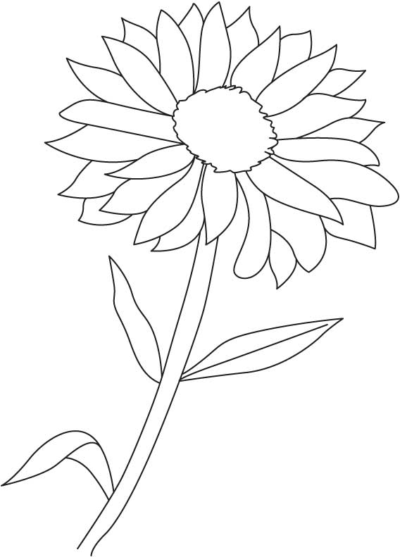 36 Plants and Flowers - Best Coloring Pages for Kids Printable 3