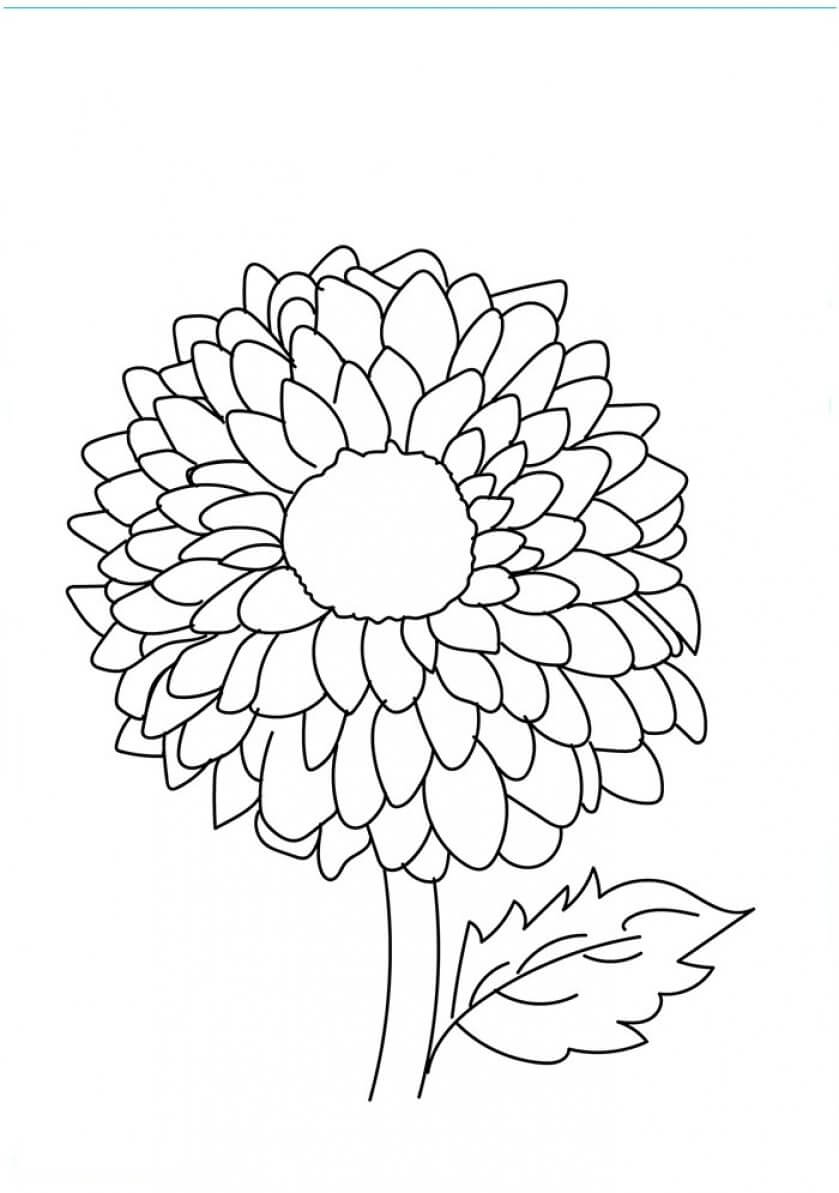 36 Plants and Flowers - Best Coloring Pages for Kids Printable 7