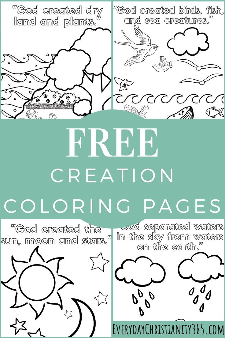 37 Creation Coloring Pages Printable 10